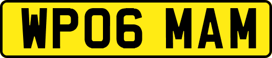 WP06MAM