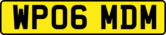 WP06MDM