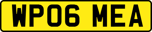WP06MEA