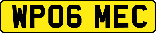 WP06MEC