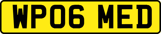 WP06MED
