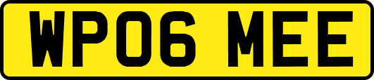 WP06MEE