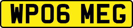 WP06MEG