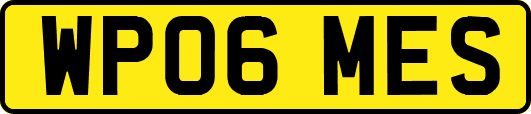 WP06MES