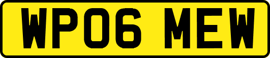 WP06MEW