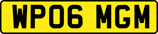 WP06MGM