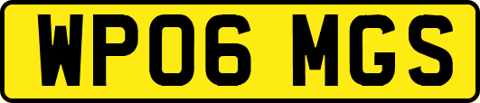 WP06MGS