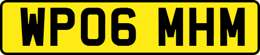 WP06MHM