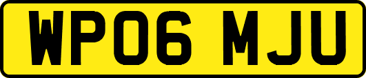 WP06MJU