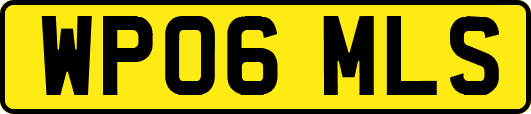 WP06MLS