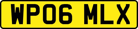 WP06MLX