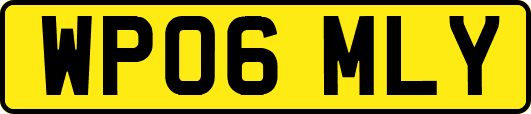 WP06MLY