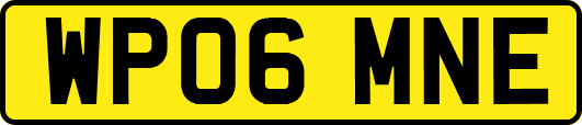WP06MNE