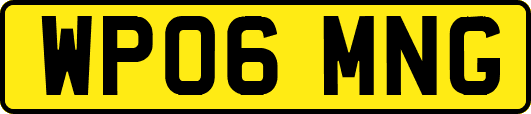 WP06MNG