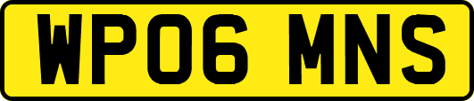 WP06MNS