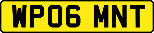 WP06MNT