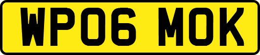 WP06MOK