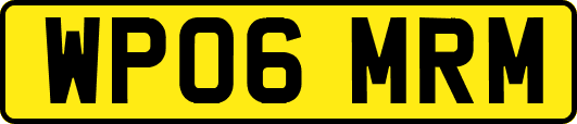 WP06MRM
