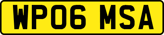 WP06MSA