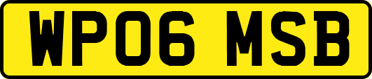 WP06MSB