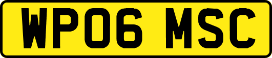 WP06MSC
