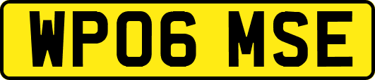 WP06MSE