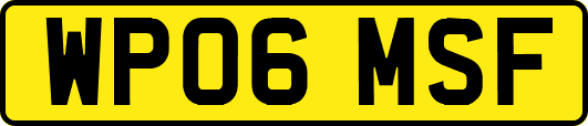 WP06MSF