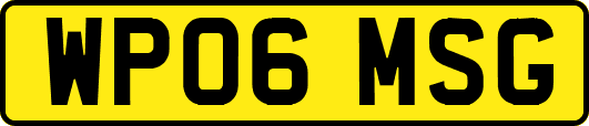 WP06MSG