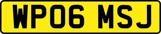 WP06MSJ