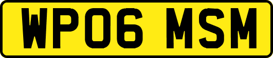 WP06MSM