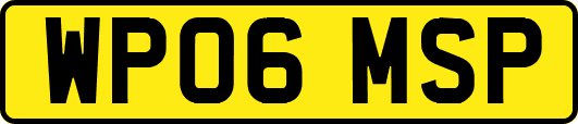 WP06MSP
