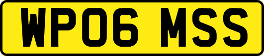 WP06MSS