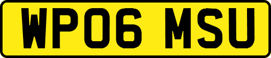 WP06MSU