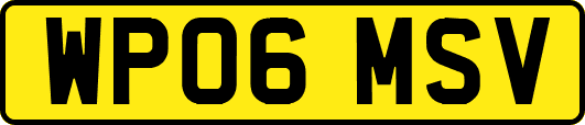 WP06MSV