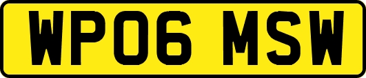 WP06MSW