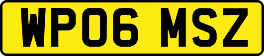 WP06MSZ