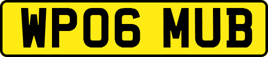 WP06MUB