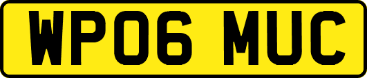 WP06MUC