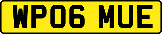 WP06MUE