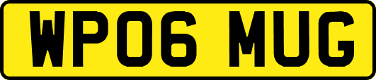 WP06MUG