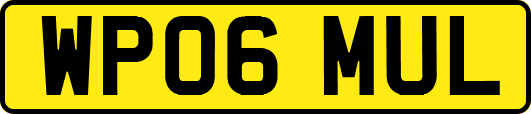 WP06MUL