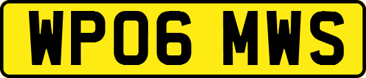 WP06MWS