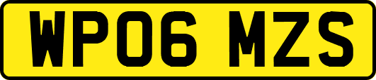 WP06MZS