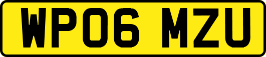 WP06MZU