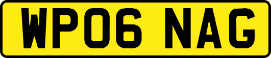 WP06NAG