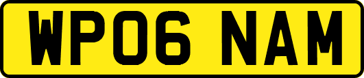 WP06NAM