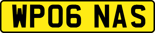 WP06NAS