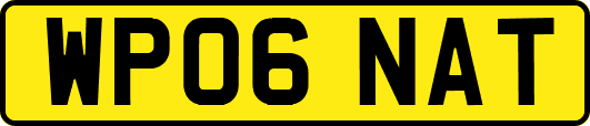 WP06NAT