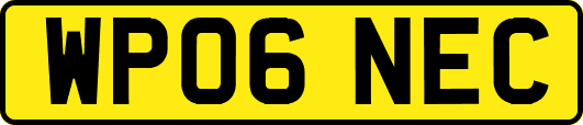 WP06NEC