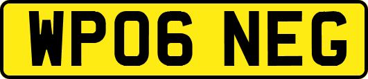 WP06NEG